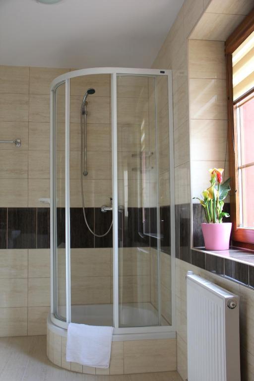 Apartamenty Pod Lwem Świdnica Værelse billede